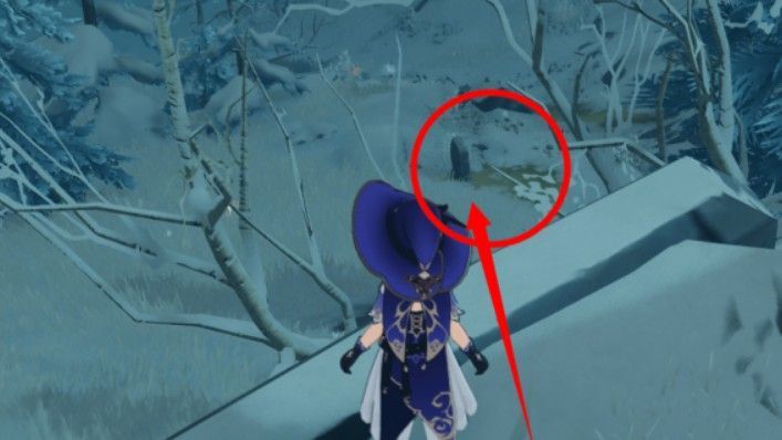 原神龙脊雪山三个匣子密室在哪里 雪山三个匣子密室位置介绍[多图]图片7