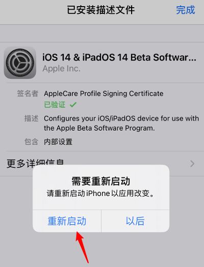 苹果IOS14怎么升级？IOS系统更新升级方法介绍[多图]图片7