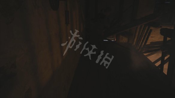 生化危机8剧情攻略，全主线剧情通关解析[多图]图片39