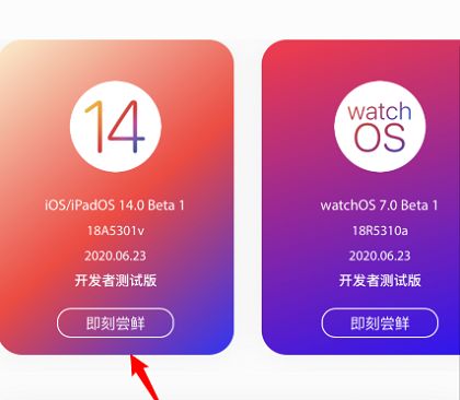 苹果IOS14怎么升级？IOS系统更新升级方法介绍[多图]图片1