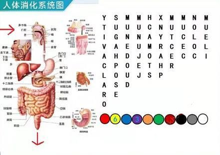 犯罪大师密室8月1日逃脱答案是什么？8月1日密室逃脱正确答案分析[多图]图片3