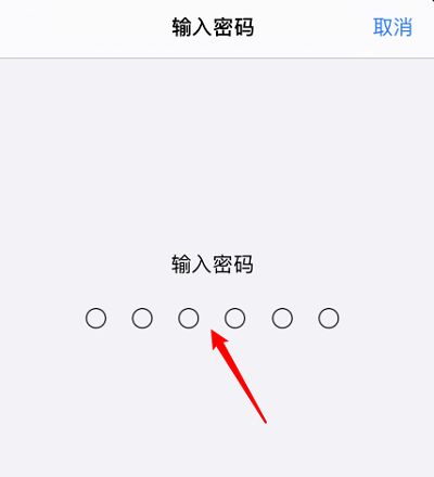 苹果IOS14怎么升级？IOS系统更新升级方法介绍[多图]图片6