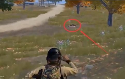 和平精英野餐点在哪里？野餐点位置介绍[多图]图片3