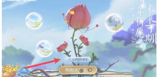 王者荣耀祈愿花怎么用？祈愿花使用方法介绍[多图]图片1