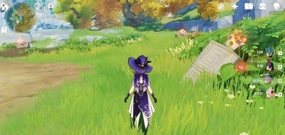 原神寻找另一块奇怪的石头任务攻略，寻找另一块奇怪的石头位置在哪[多图]图片2