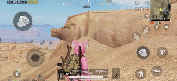 和平精英网红猪位置在哪？网红猪位置及打卡方式详解[多图]图片2