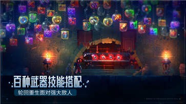 重生细胞B服
