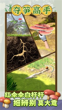 夺笋高手正版