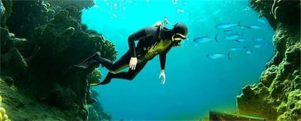 潜水员寻宝