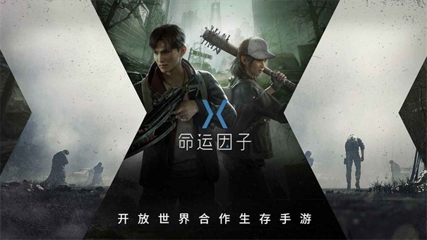 命运因子测试服