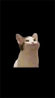 popcat啵嘴猫
