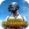 pubgmobile国际服