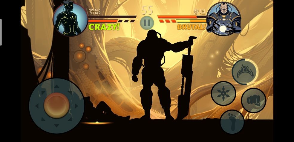 暗影格斗2特别版