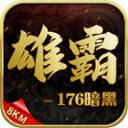 雄霸176暗黑三职业