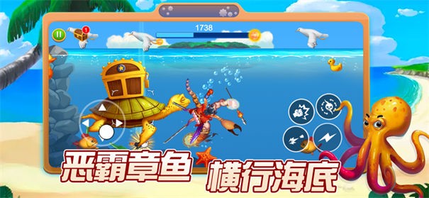 热血红章鱼