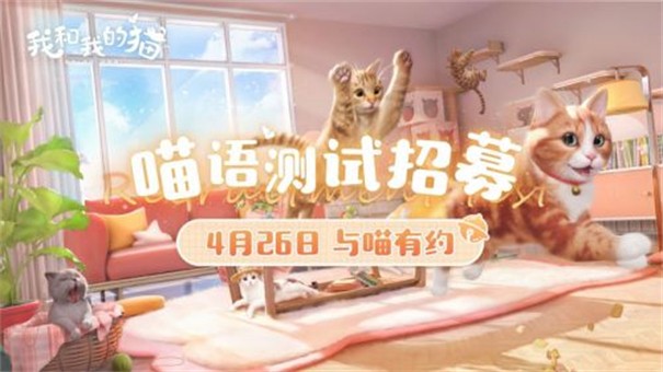 我和我的猫测试服
