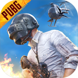 pubg mobile国际服