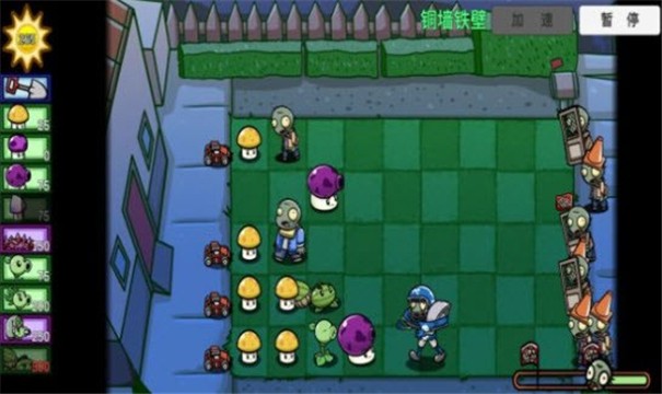 pvzbt双人版