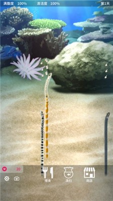 养育花园鳗的治愈游戏