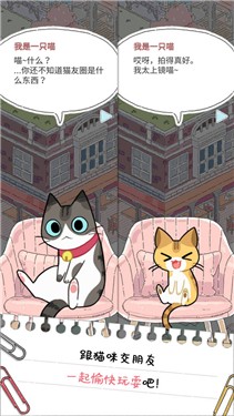 猫友圈猫咪的旅行测试版