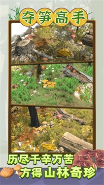 夺笋高手正版