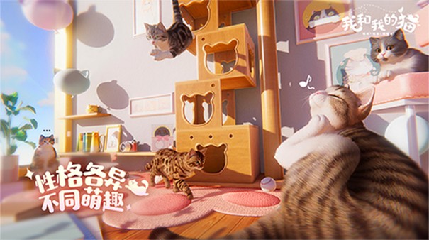 我和我的猫测试服