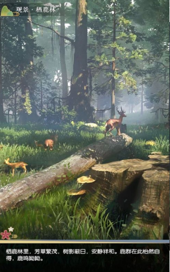 凡人修仙文字版