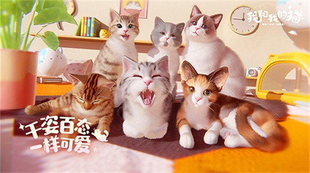 我和我的猫测试服