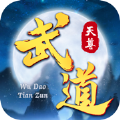 武道天尊