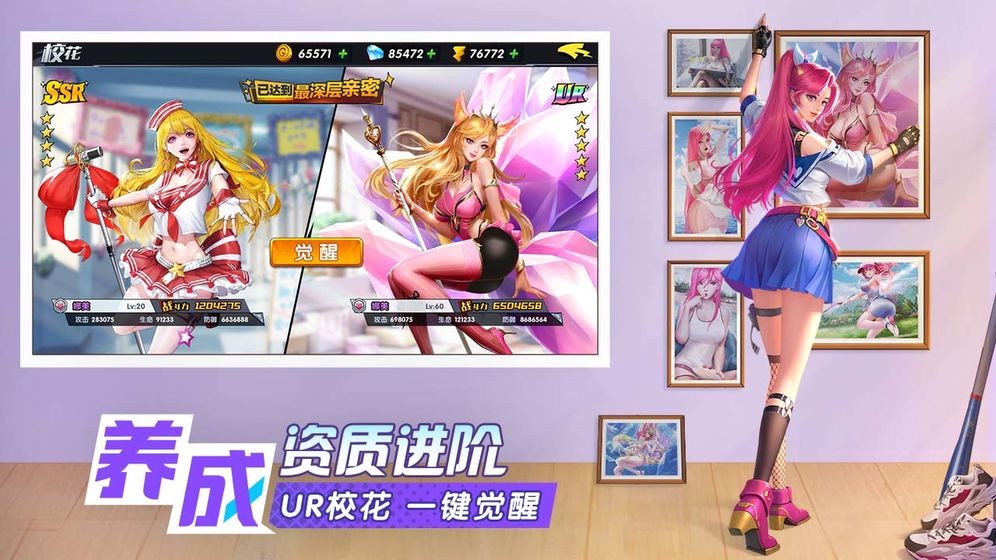 王牌高校