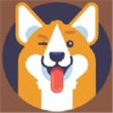 狐狸溜冰场