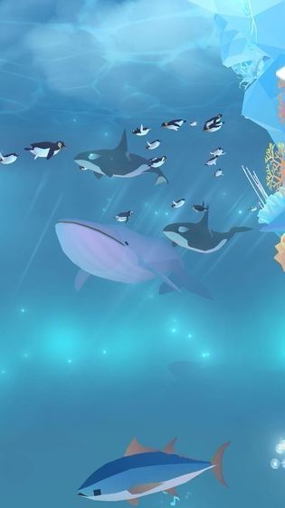 深海水族馆极地