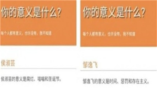 你的意义是什么鬼东西