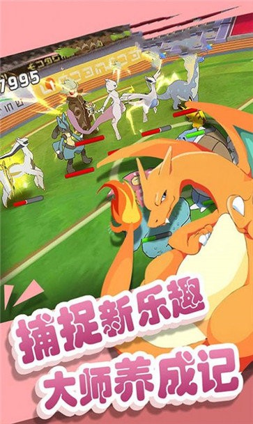 梦幻宠物联盟冠军