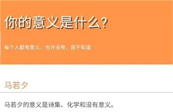 你的意义是什么鬼东西