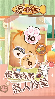 猫咪合十