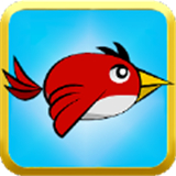 快速鸟