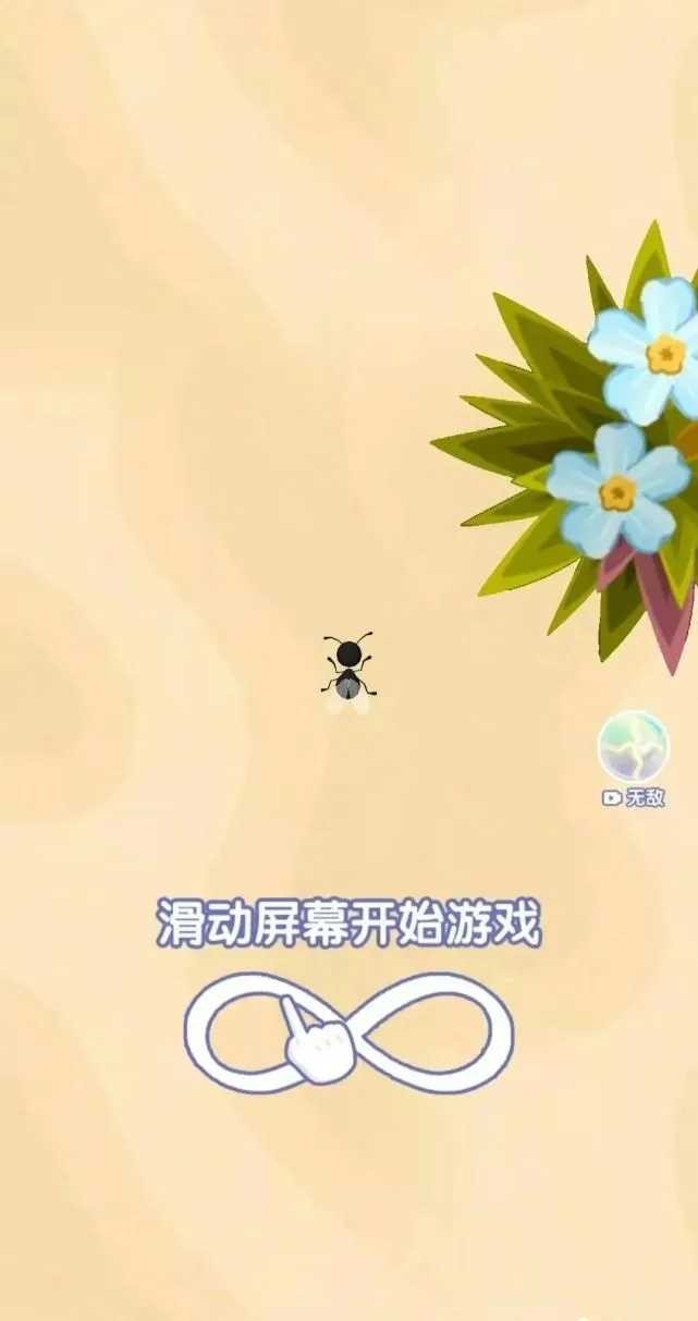 召唤神凤网页版
