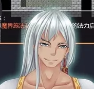 青龙剑姬传冷狐