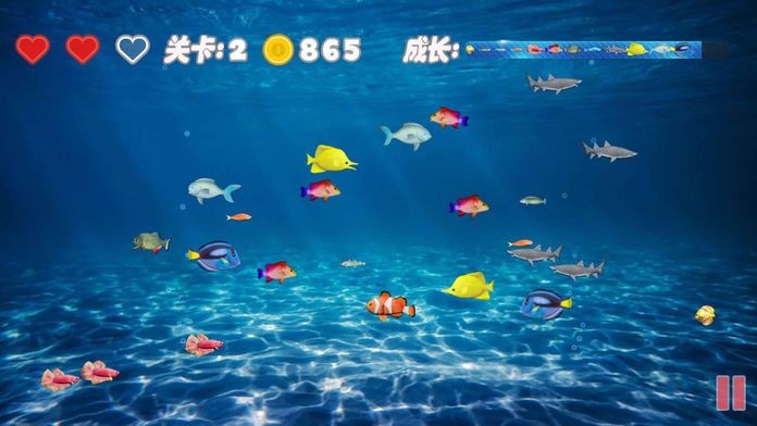 鱼吃鱼