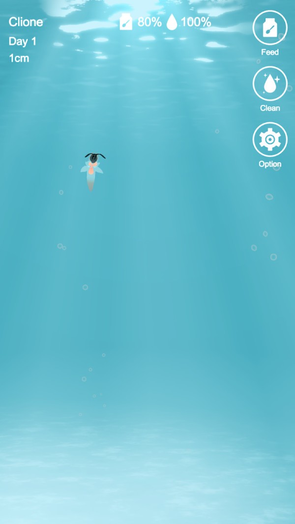 海天使生活