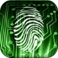 摸摸鱼测谎模拟器