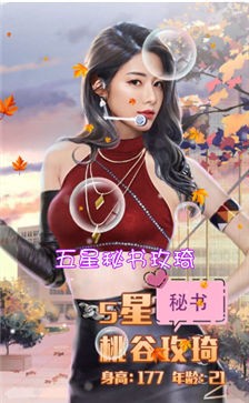 王老板的秘书们