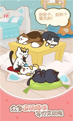 猫咪小家