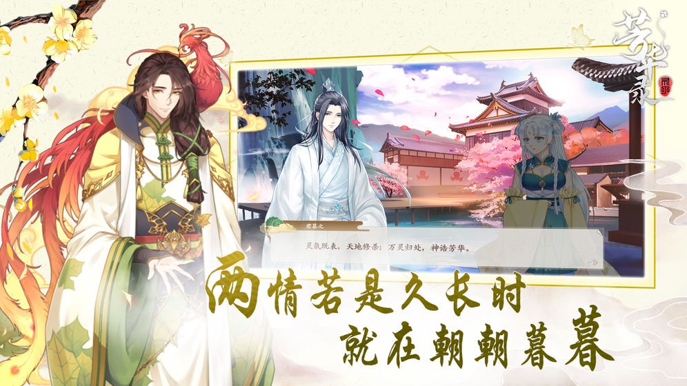 芳华录