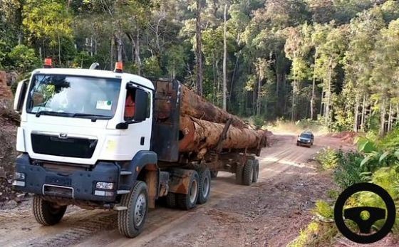 重型货车模拟器Long Cargo Truck