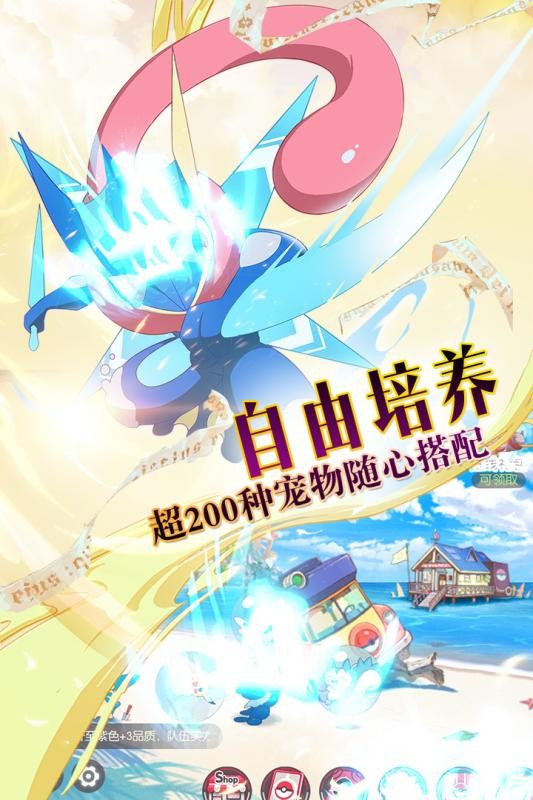 口袋觉醒华为版