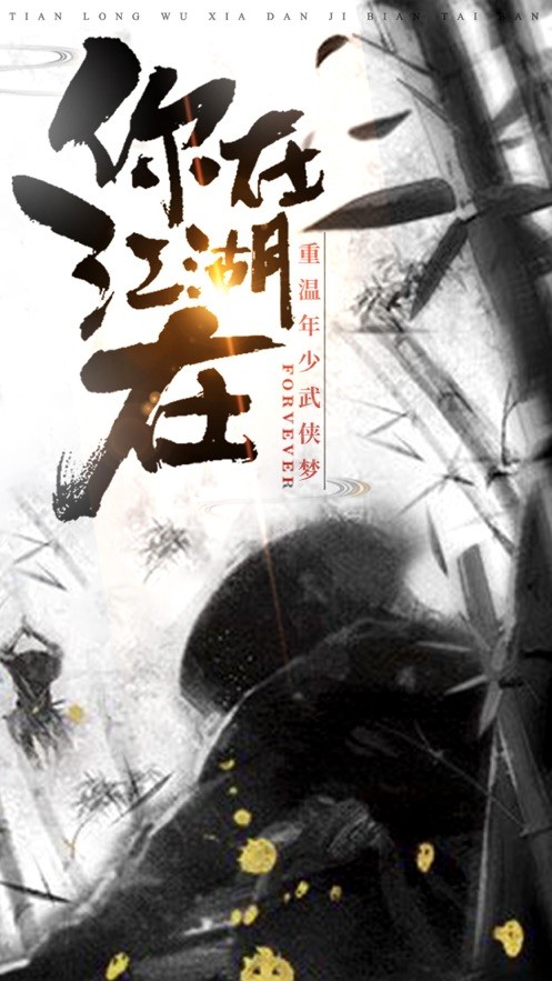天龙武侠