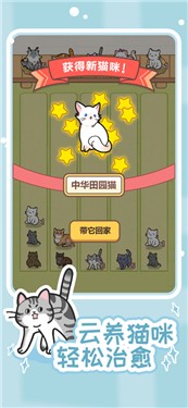 解压猫咪遇见你的猫咪公寓