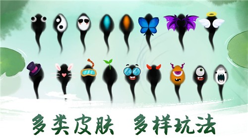 墨虾探蝌